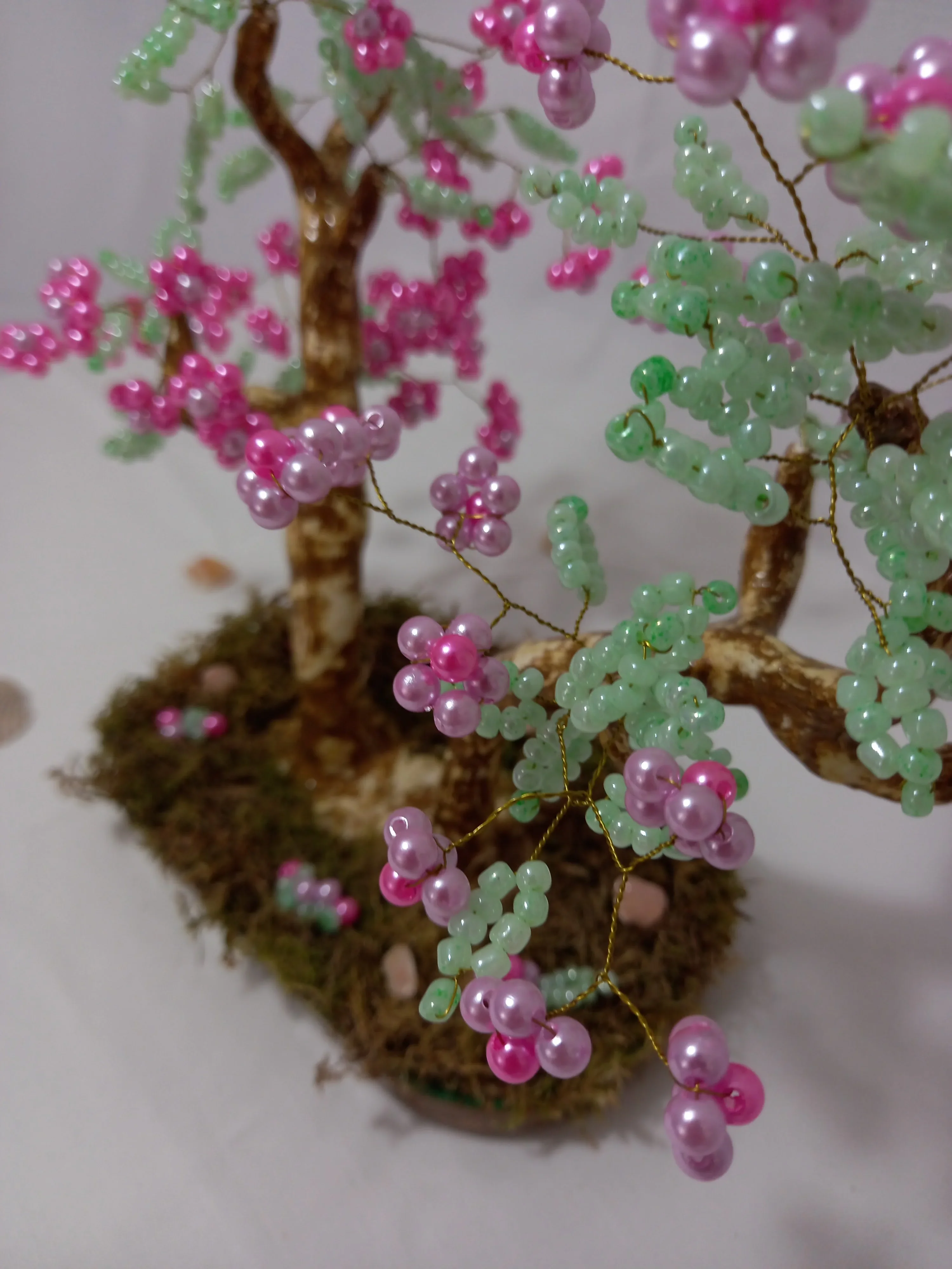 Bonsai Primavera Rosa Lila 4