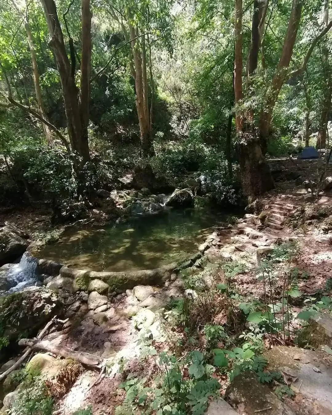 SIERRA GORDA QUERETANA EXPRESS 2