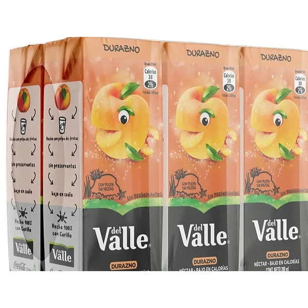 CAJA JUGO ANDINA DEL VALLE 24 UN