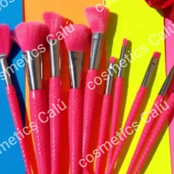 SET DE BROCHAS