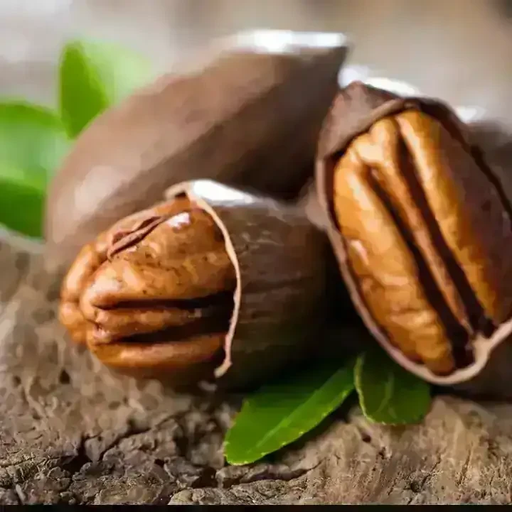 Nogal Pecan