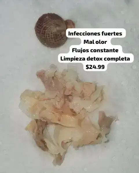 6 dias de tratamiento/2perla 3