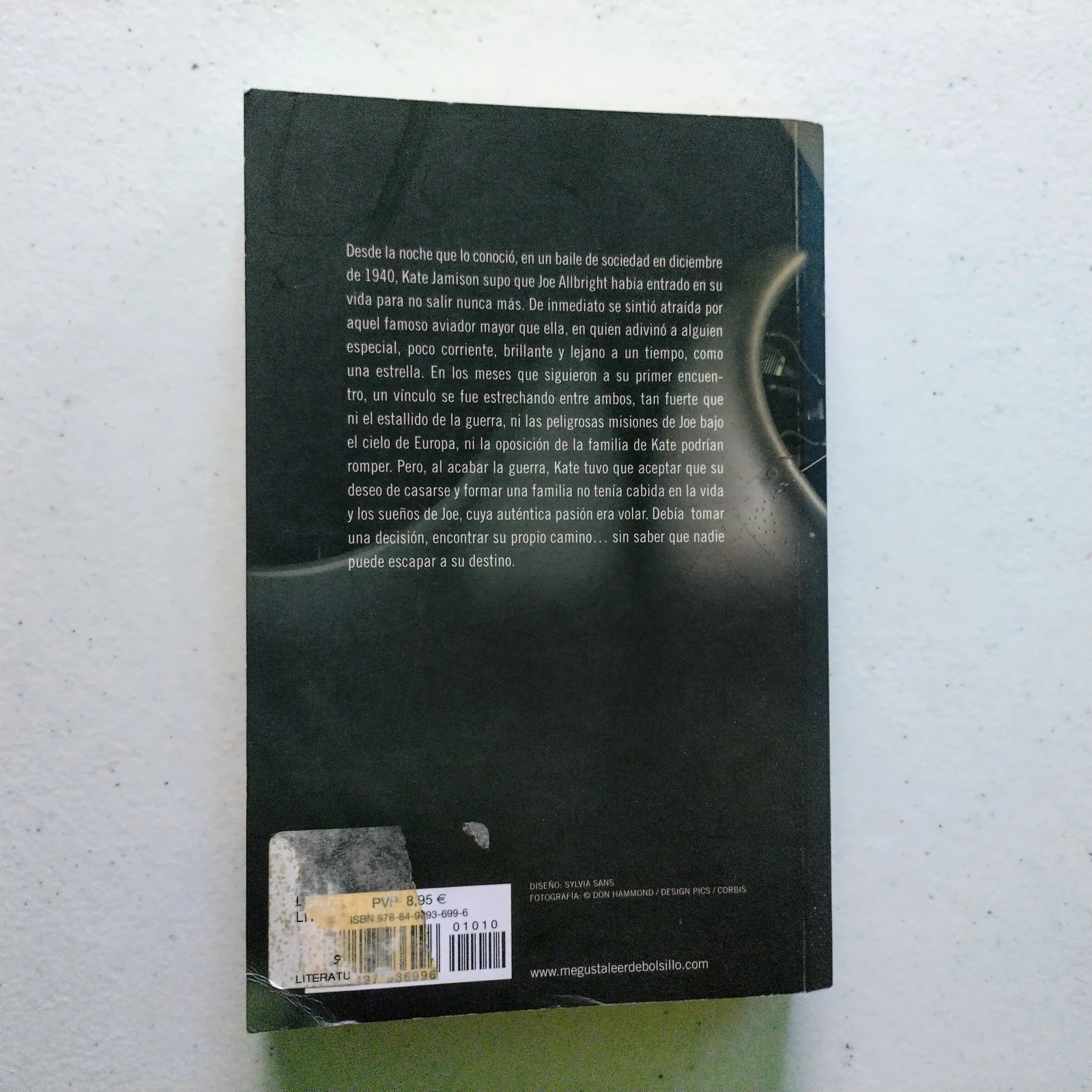 Águila solitaria, Danielle Steel, usado 2