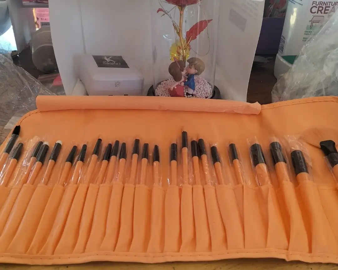 Set de brochas de 24 pz 