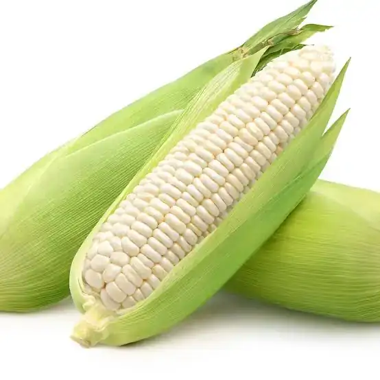 Elote