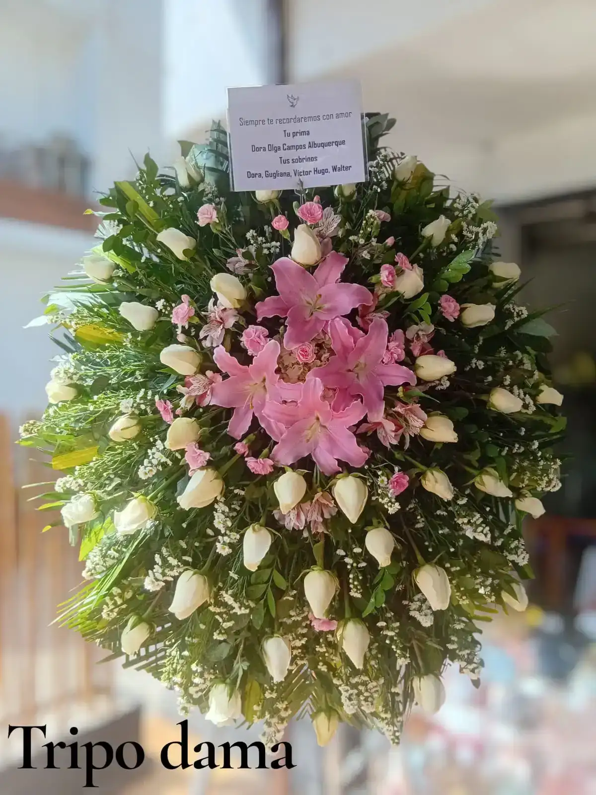 Tripo rosado