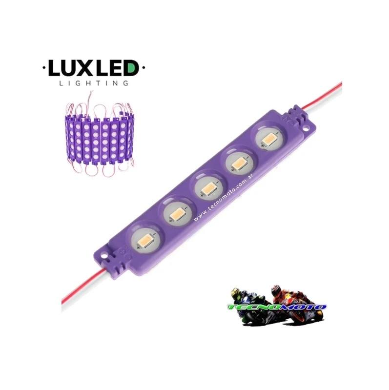 MODULO LED COB VIOLETA 5LED KD13902-12PURP  -50191