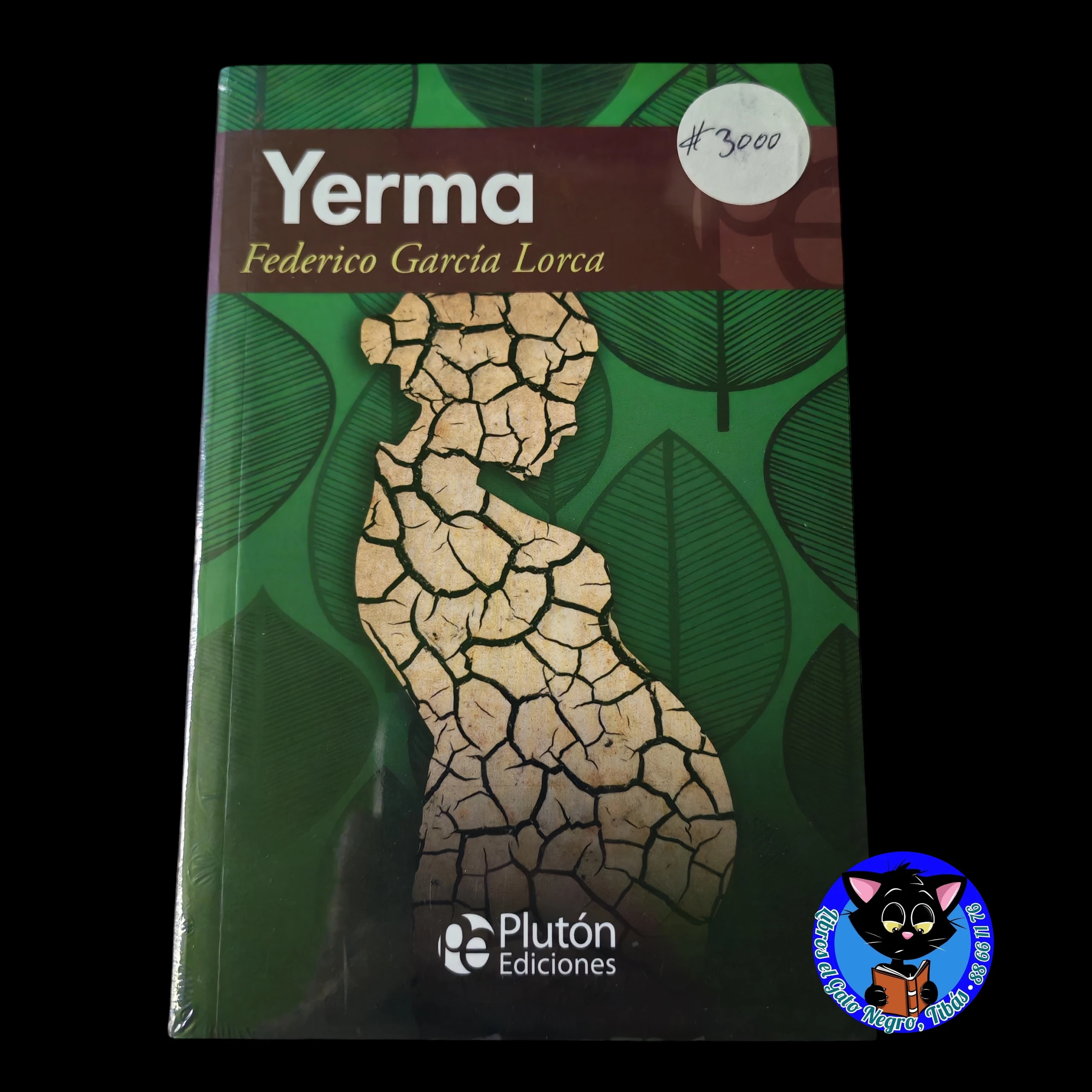 Yerma, Federico García Lorca nuevo 