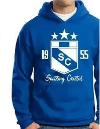 POLERA CON CAPUCHA DE CRISTAL 2