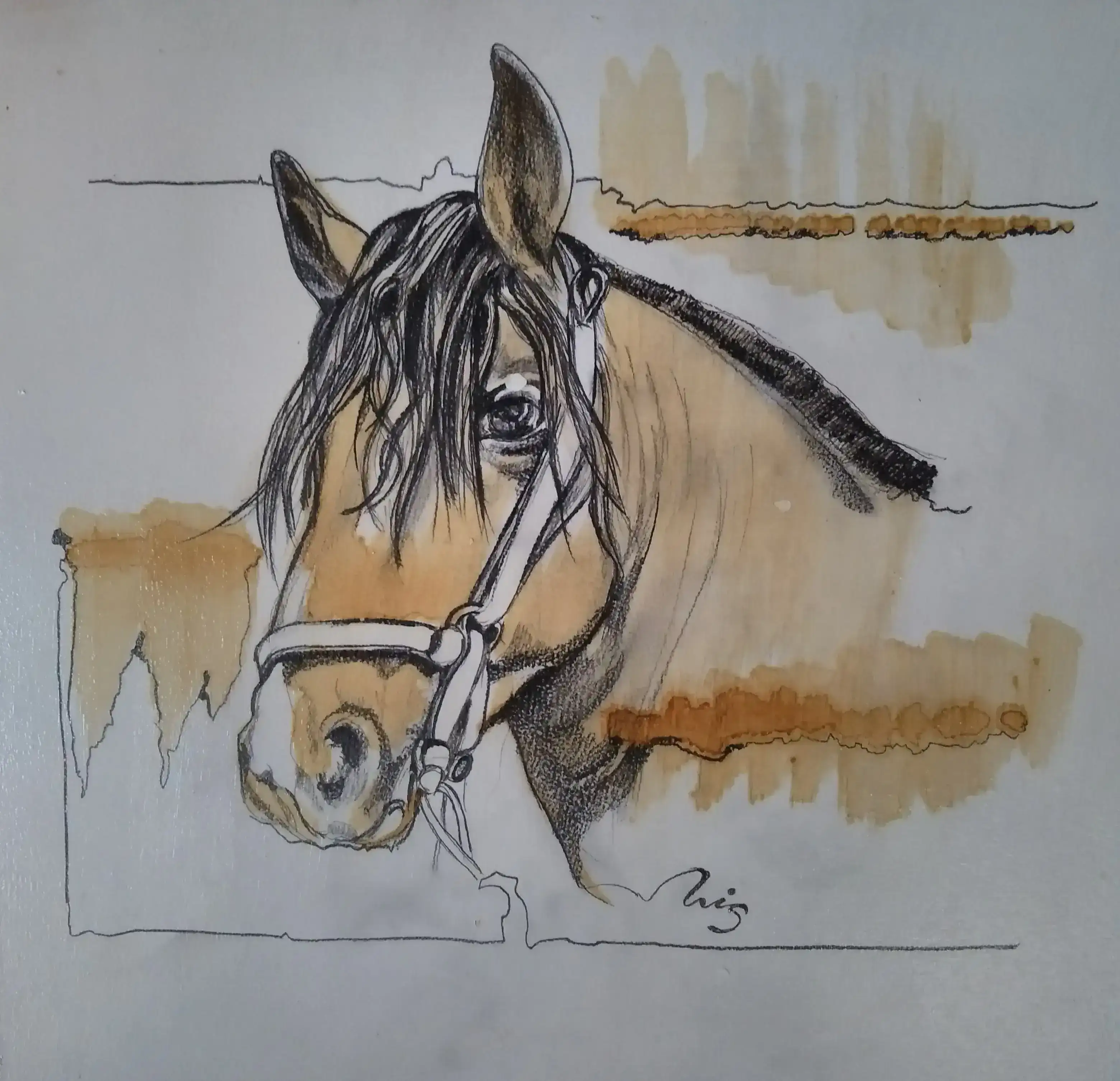 Caballo#5