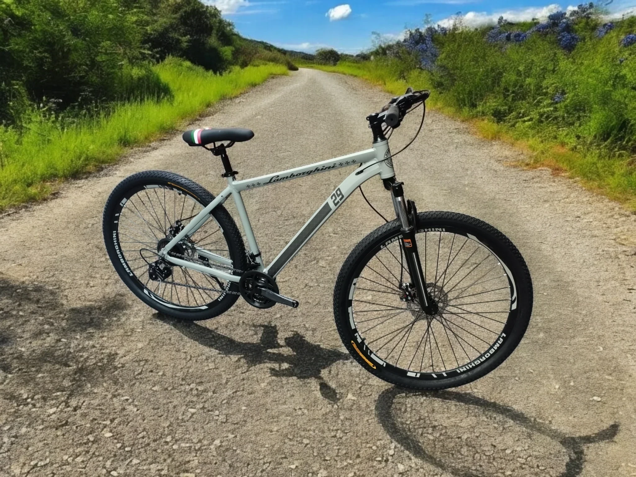 Bicicleta LAMBORGHINI Gris Rod. 29 Aluminio