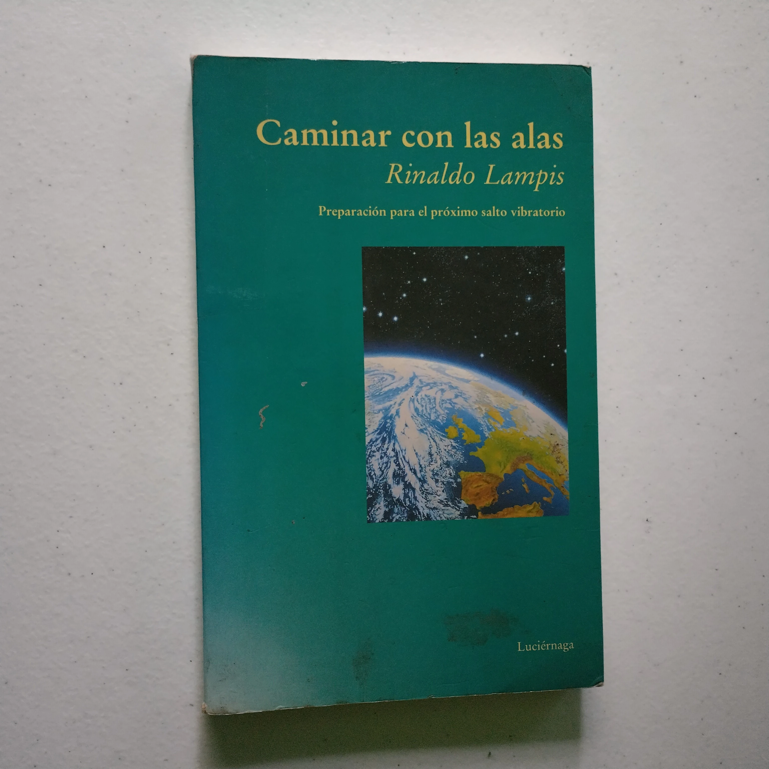 Caminar con las alas, Rinaldo Lampis, usado