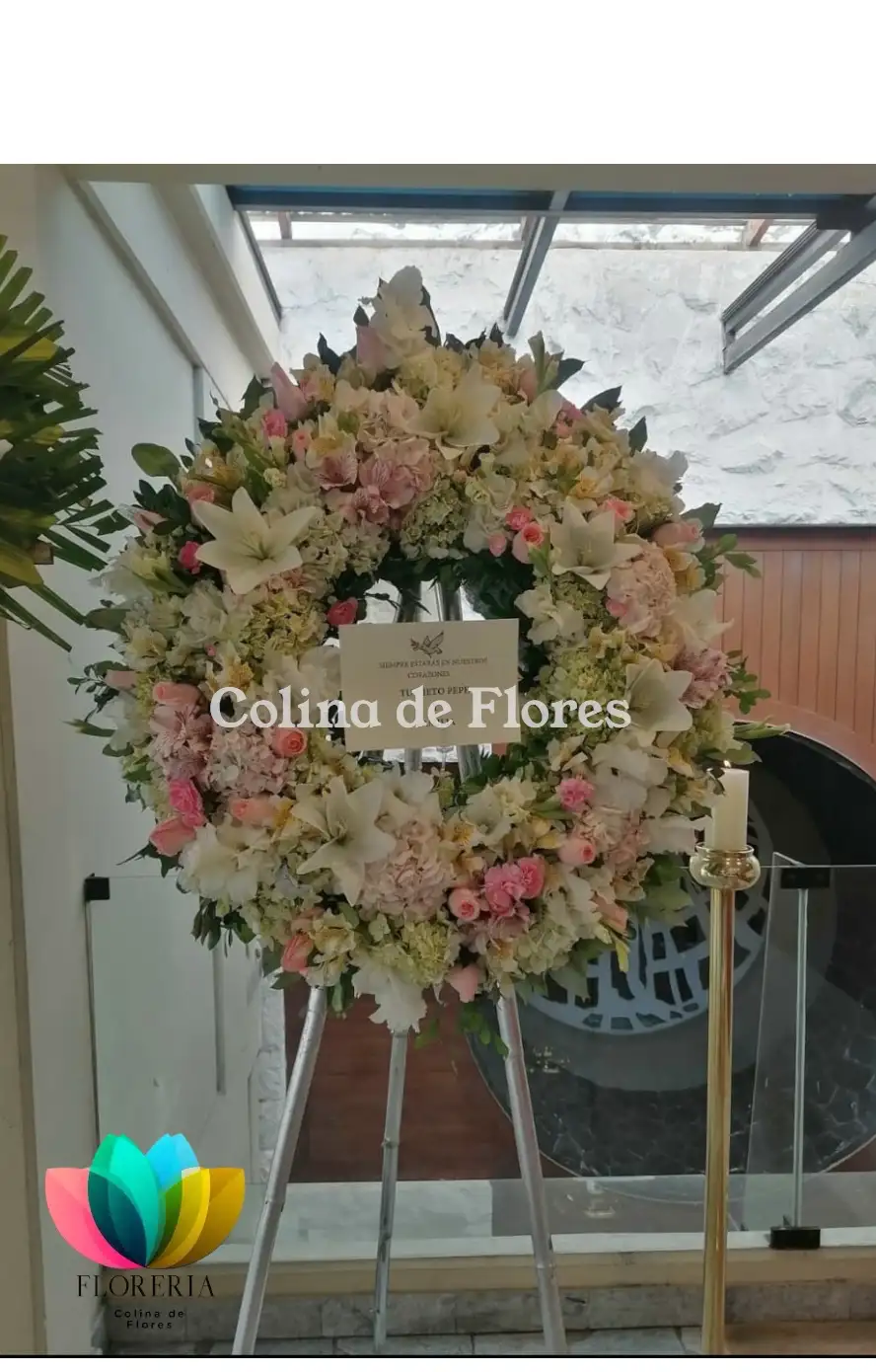 Corona Dama