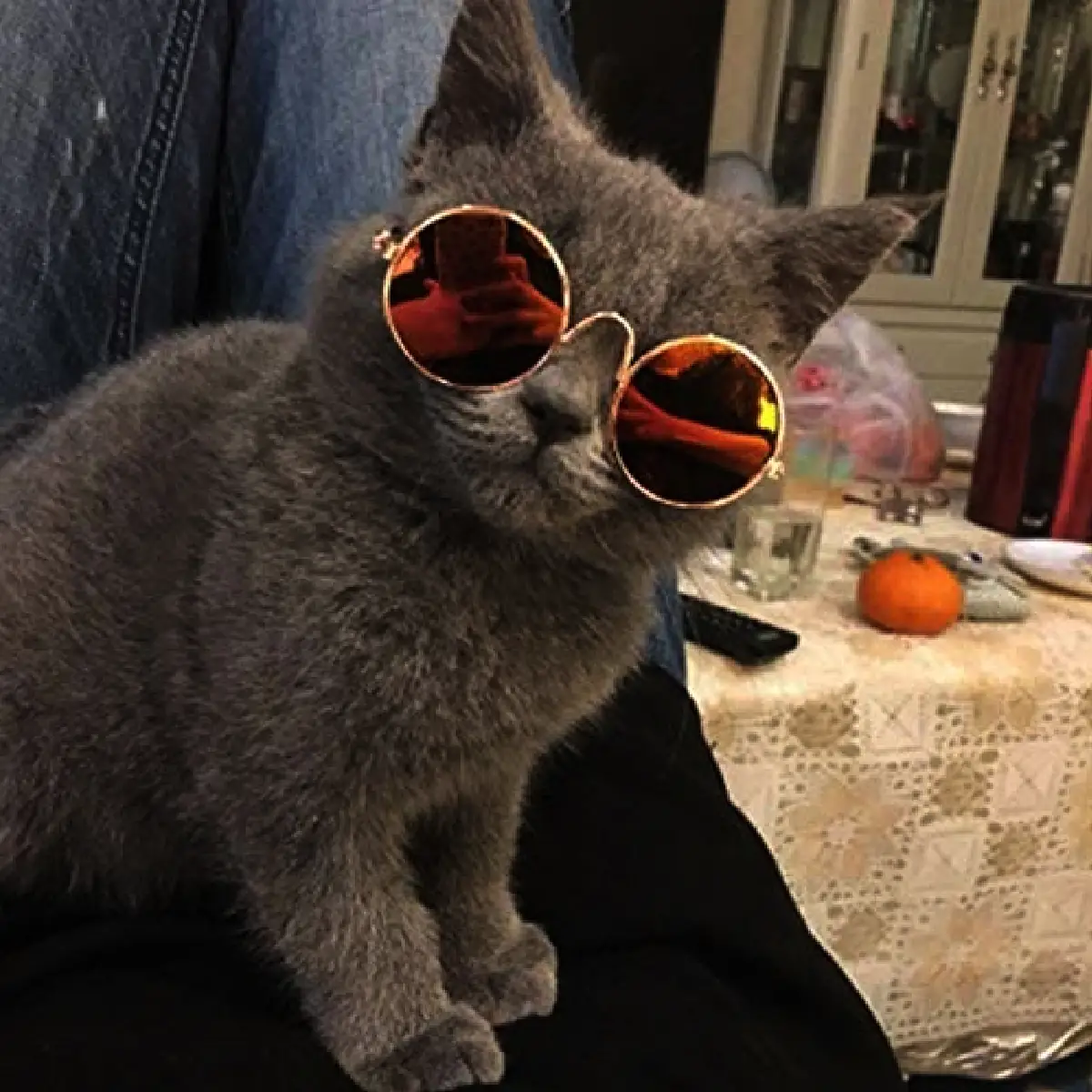GAFAS DE SOL PARA MASCOTAS
