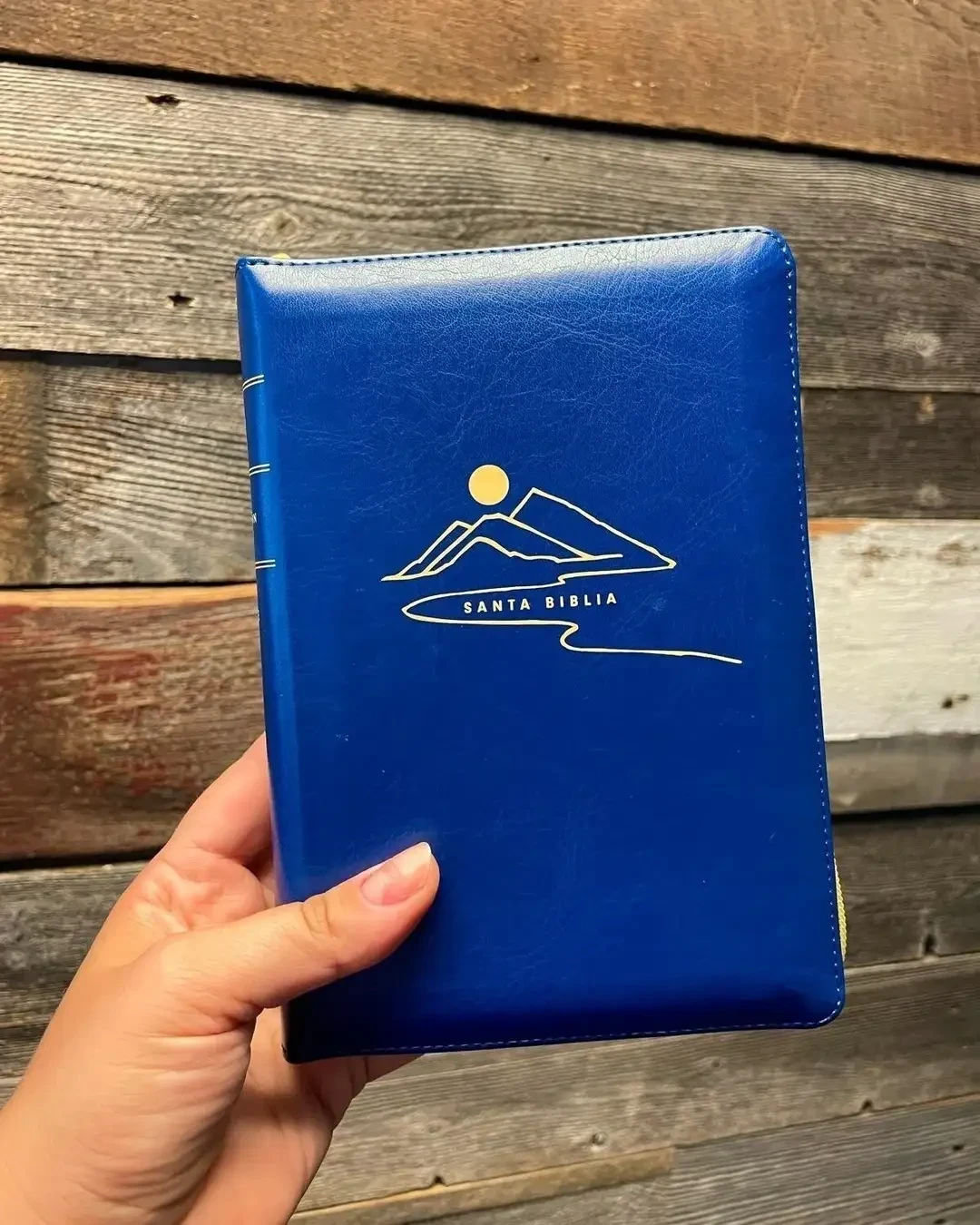 Biblia NTV compacta letra gigante azul
