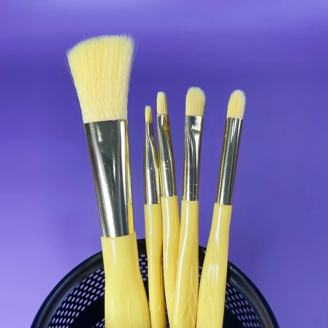 PAQUETE BROCHAS PLUMA X⁵ 3