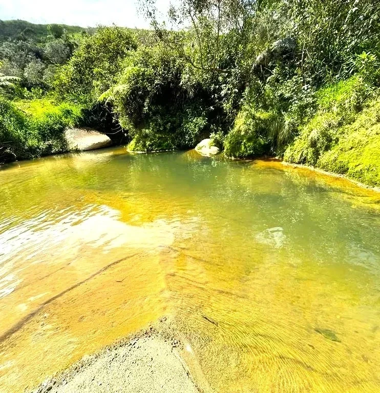 CAMINO DE BOTERO A SANTO DOMINGO ANTIOQUIA 4