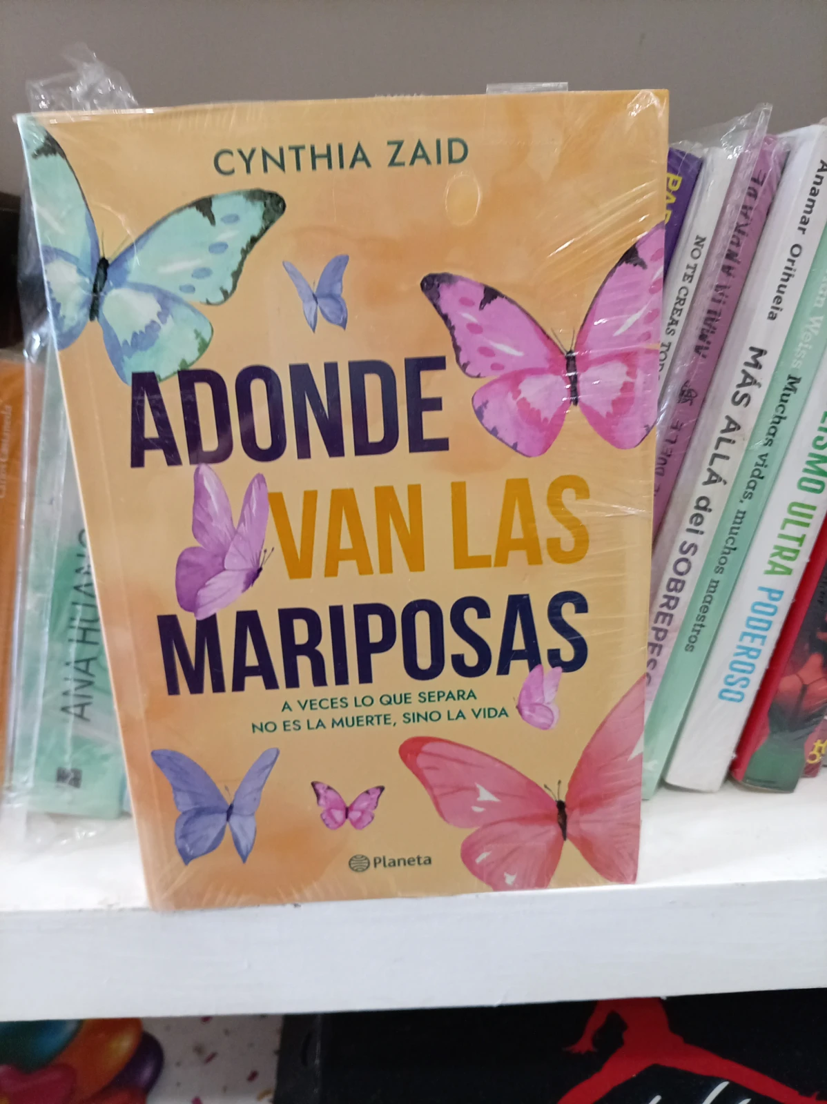 A donde van las mariposas 