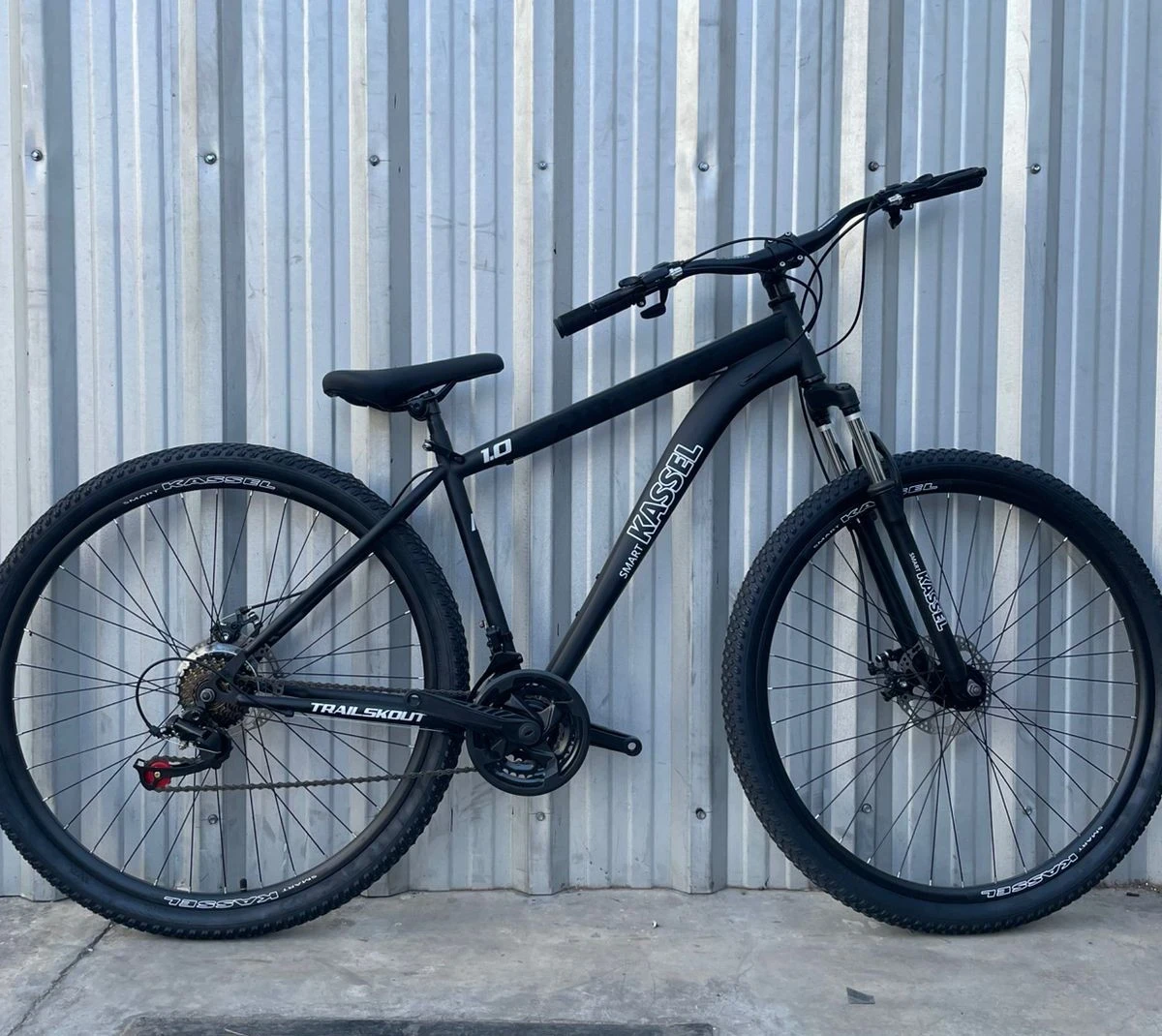 Bicicleta Kassel Rodado 29
