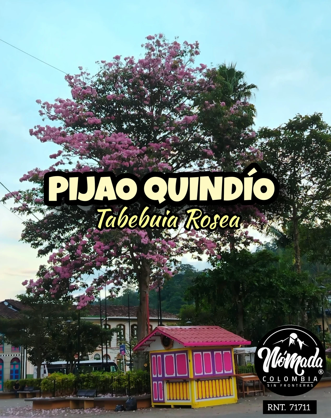 PARAMO DEL CHILÍ PIJAO QUINDÍO 2