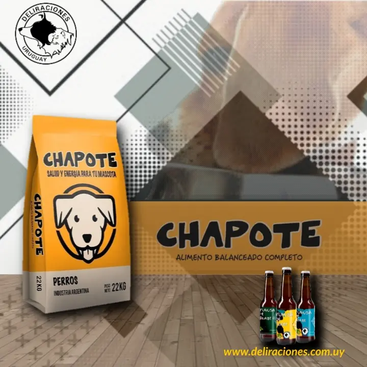 Chapote