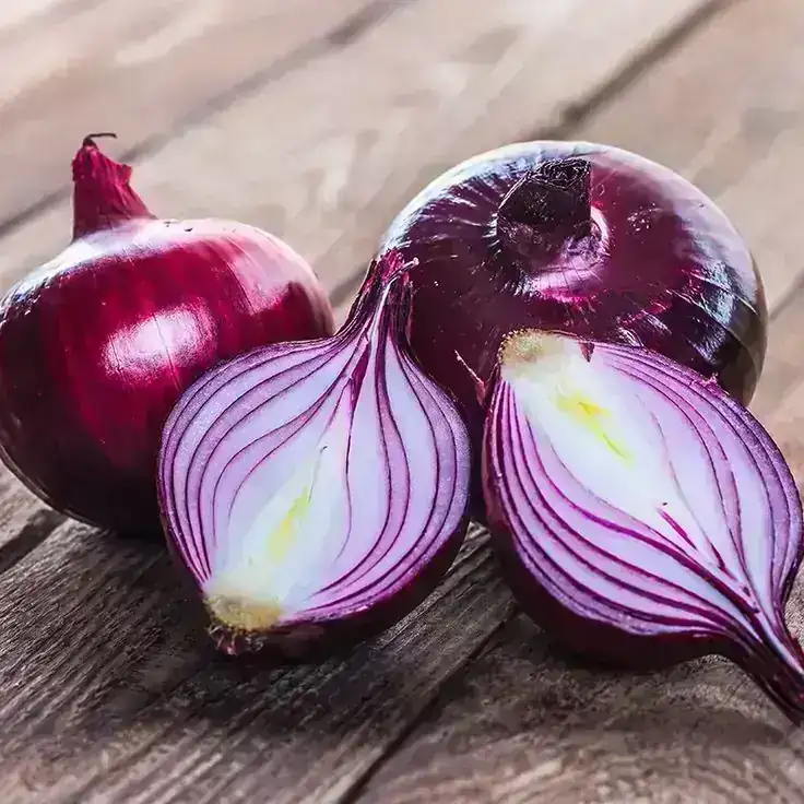 CEBOLLA MORADA