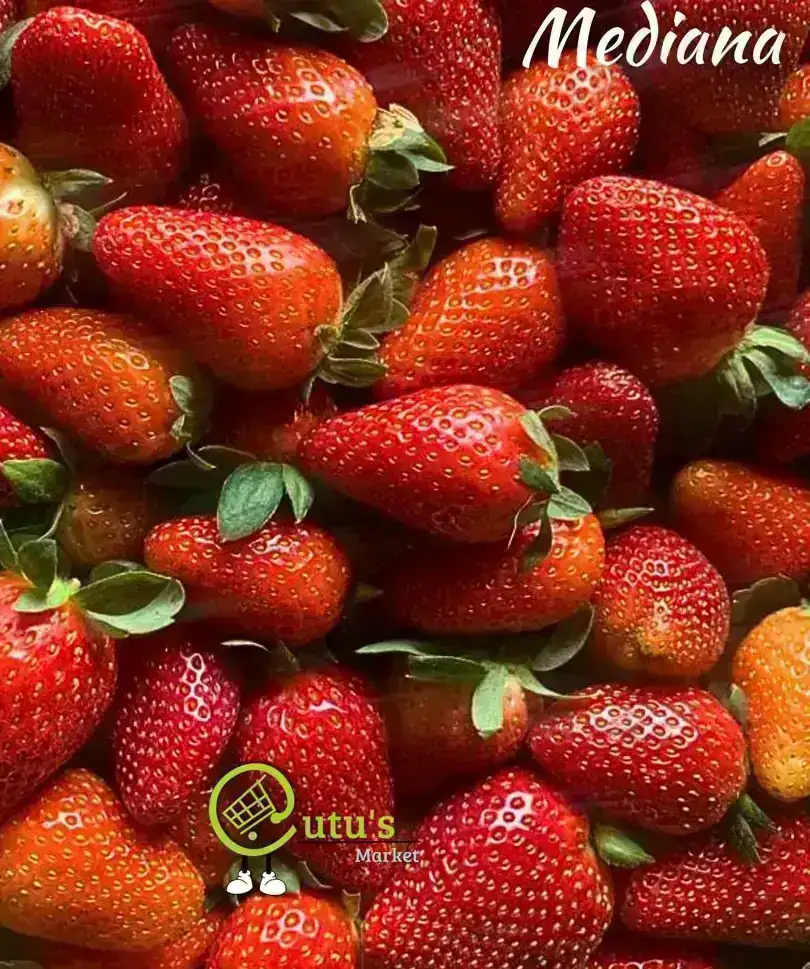Caja de fresa clase B