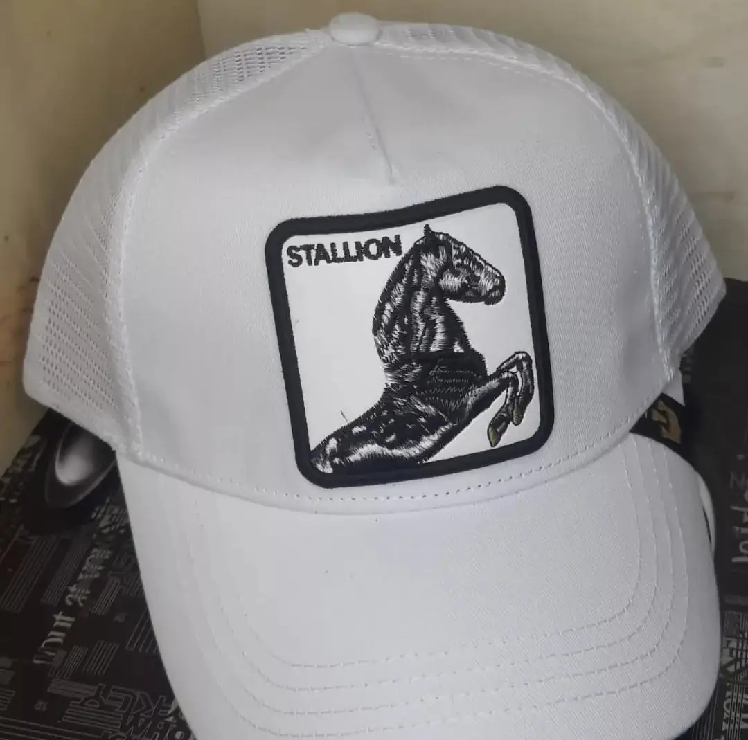 Gorras  2