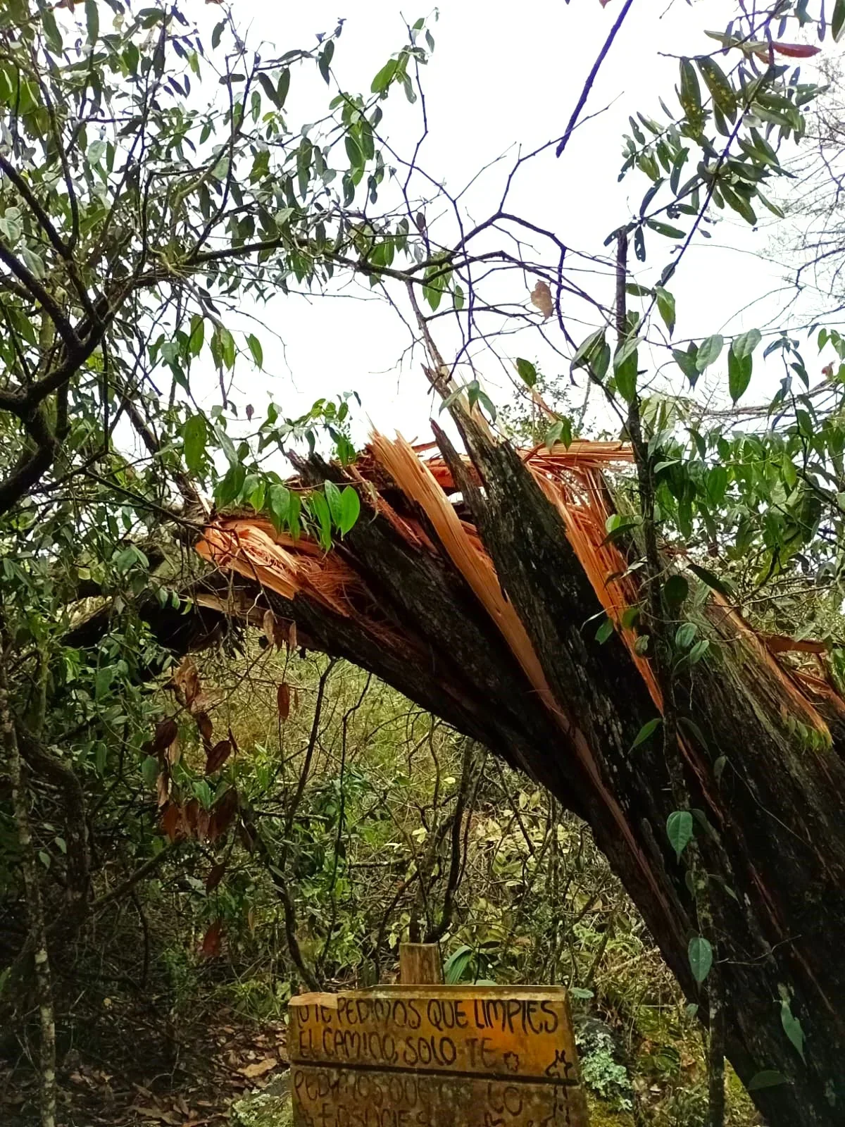 El RETIRO A LA CEJA VISITANDO CORCOVADO 2
