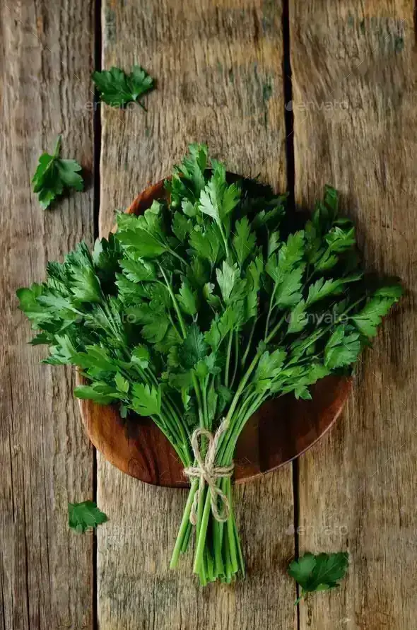MANOJITO CILANTRO 