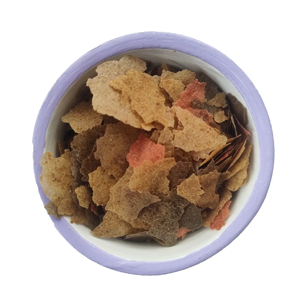 Alimento para Peces en Escamas 100g Flakes-100 2