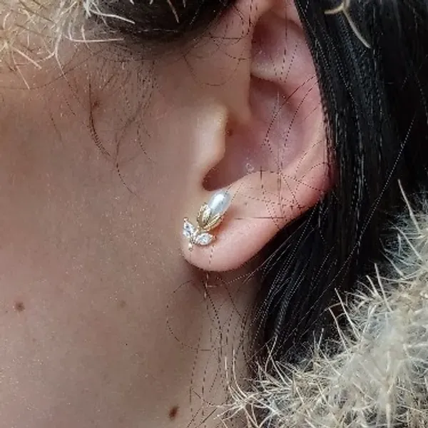 Topitos