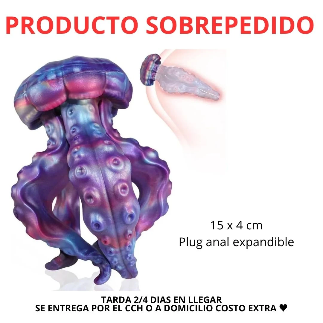 PLUG PULPO