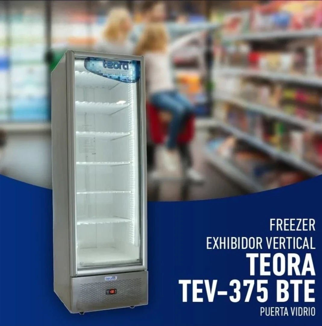 HELADERA EXHIBIDORA TEORA 375LTS