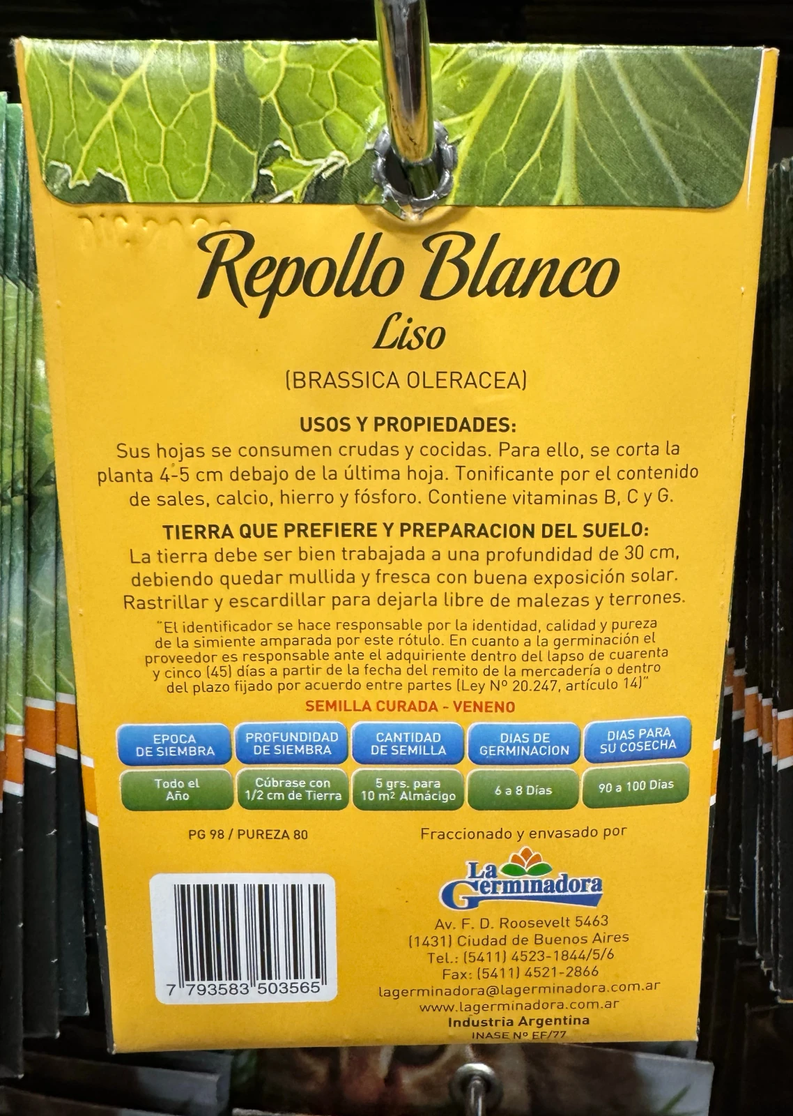Repollo Blanco  2