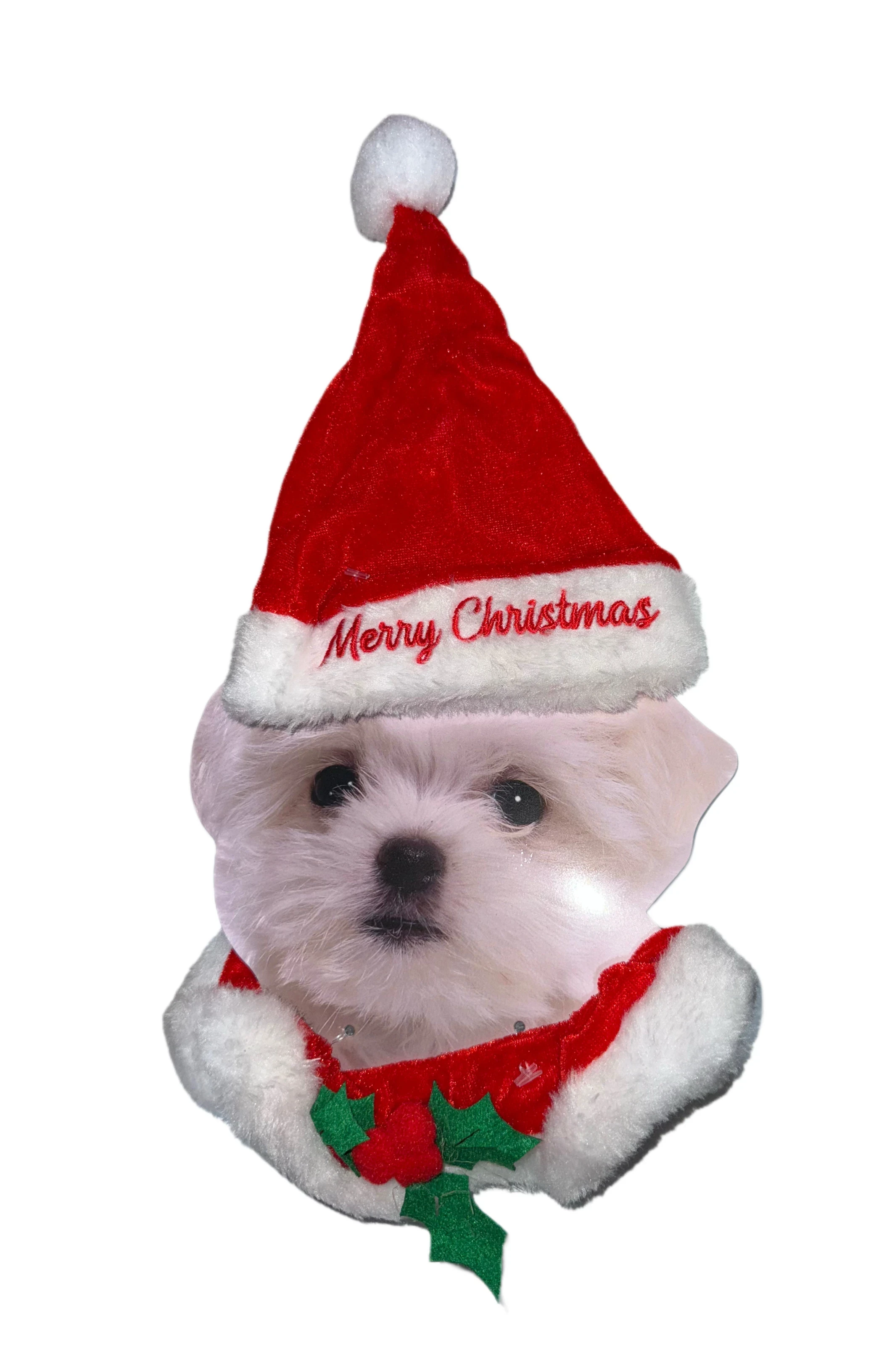 Collar y Gorrito de navidad