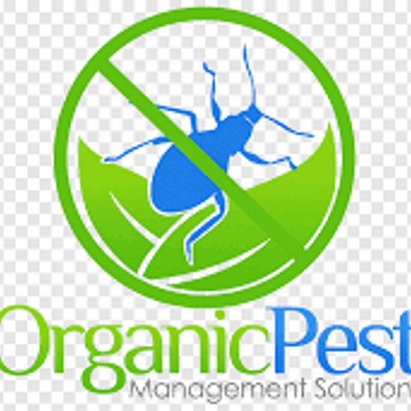 Insecticida Orgánicos