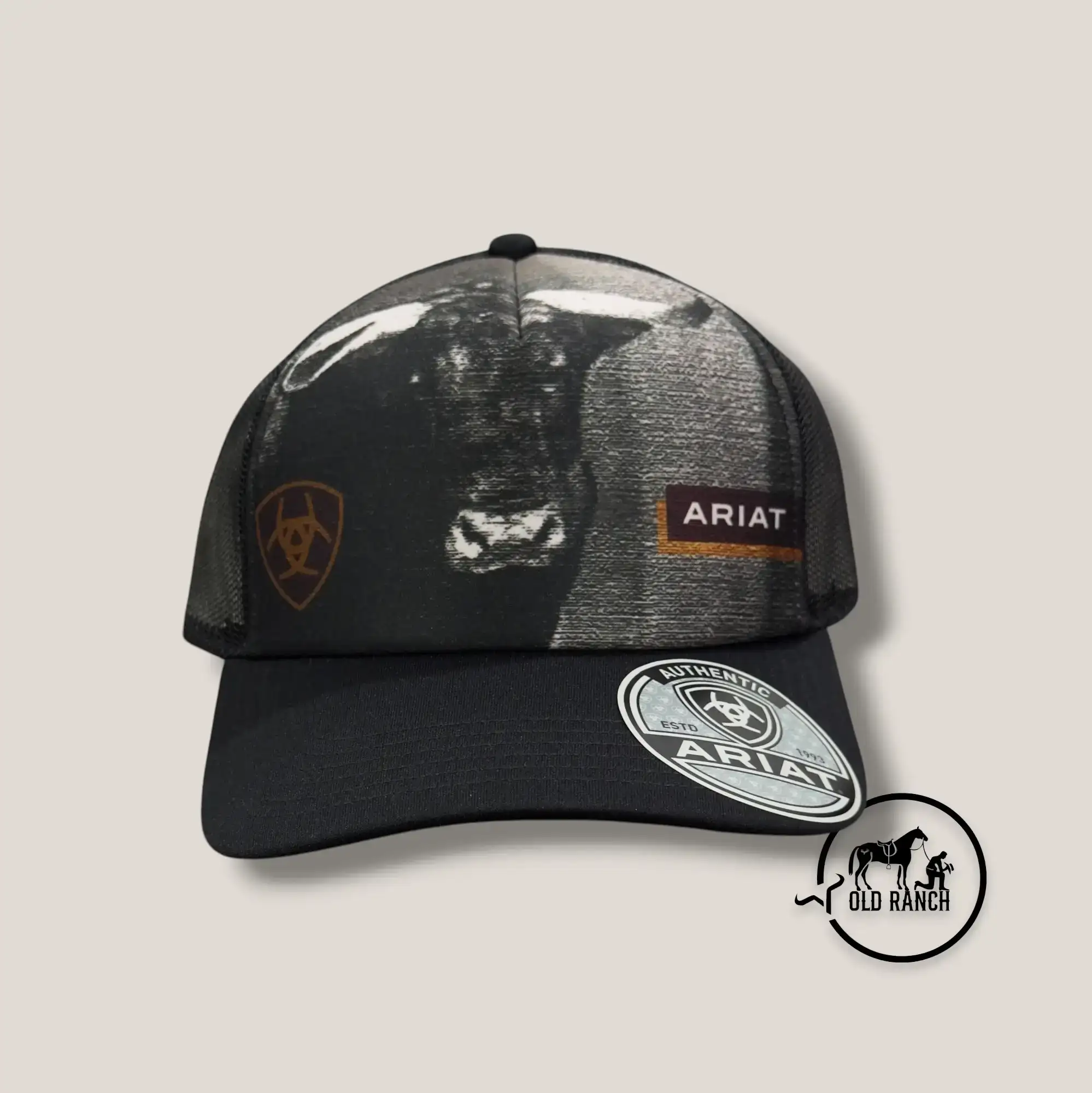 ARIAT 2
