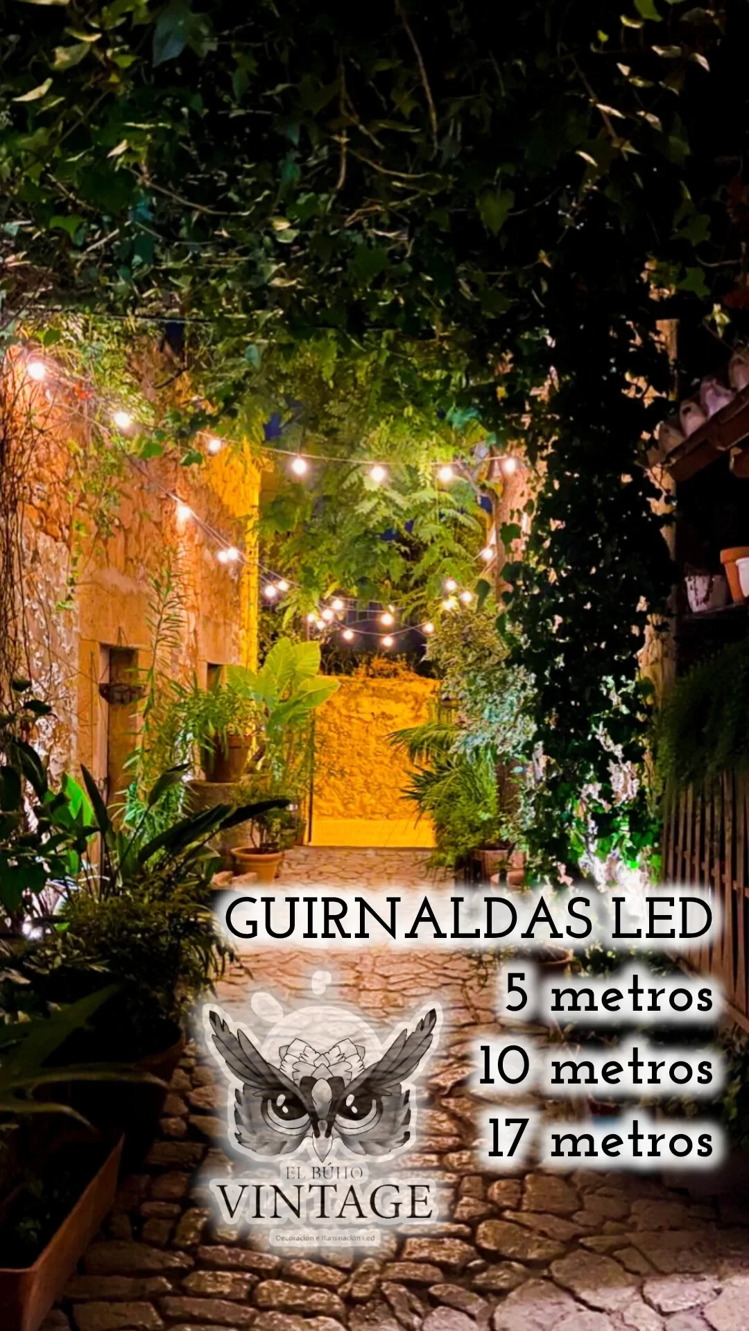 Guirnaldas LED Decorativas Vintage 4w 4