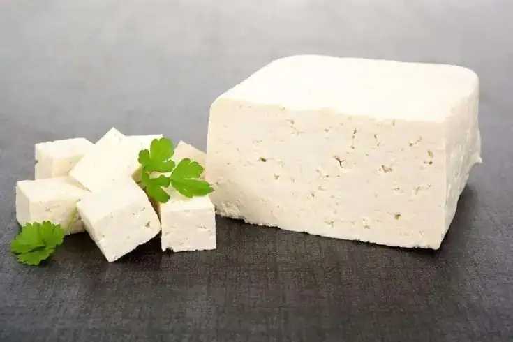 QUESO FRESCO ESPECIAL