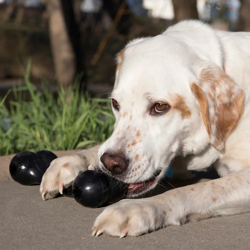 KONG Bone extreme medium 3