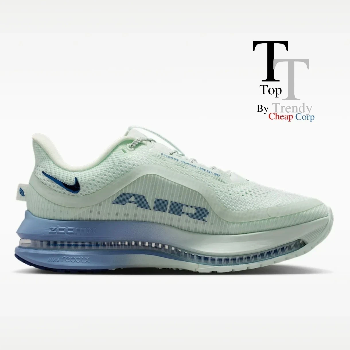 Tenis pegasus premium  2