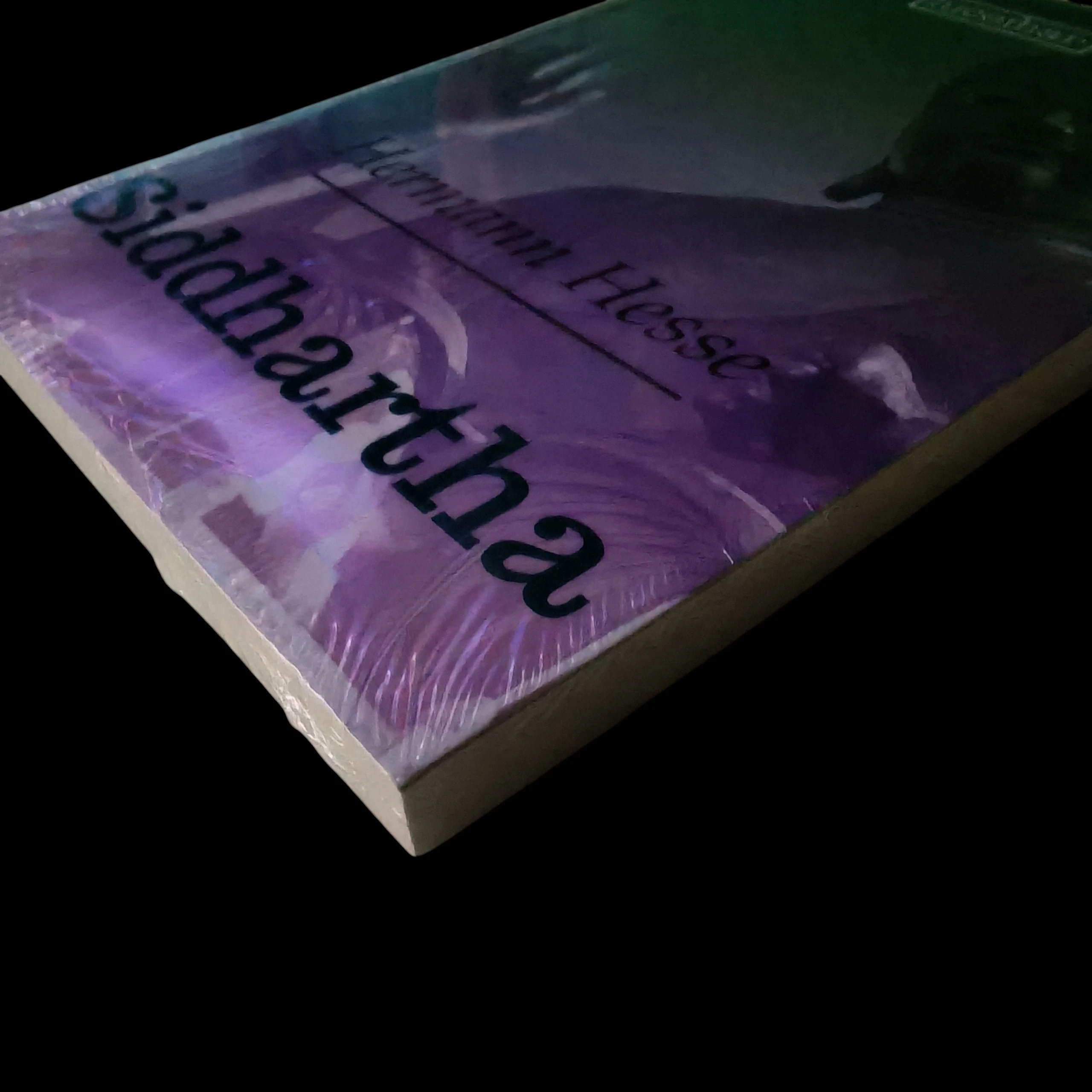 Siddharta ,  Hermann Hesse nuevo  4