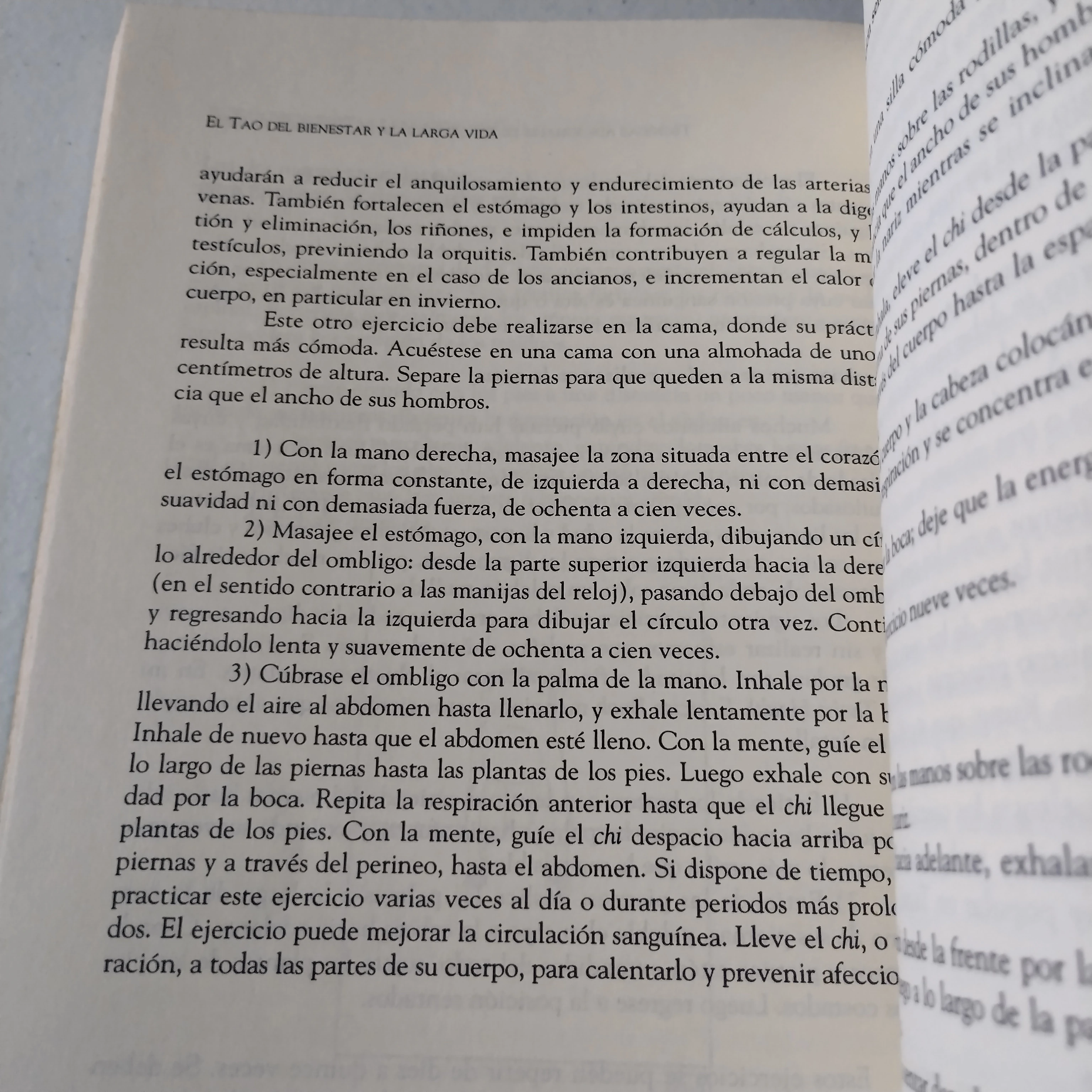 El Tao del bienestar y la larga vida, Da Liu, usado 3