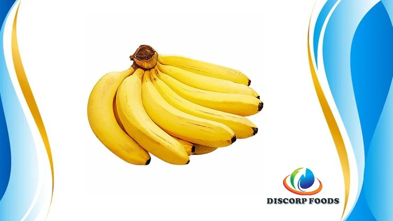 PLATANO DE SEDA