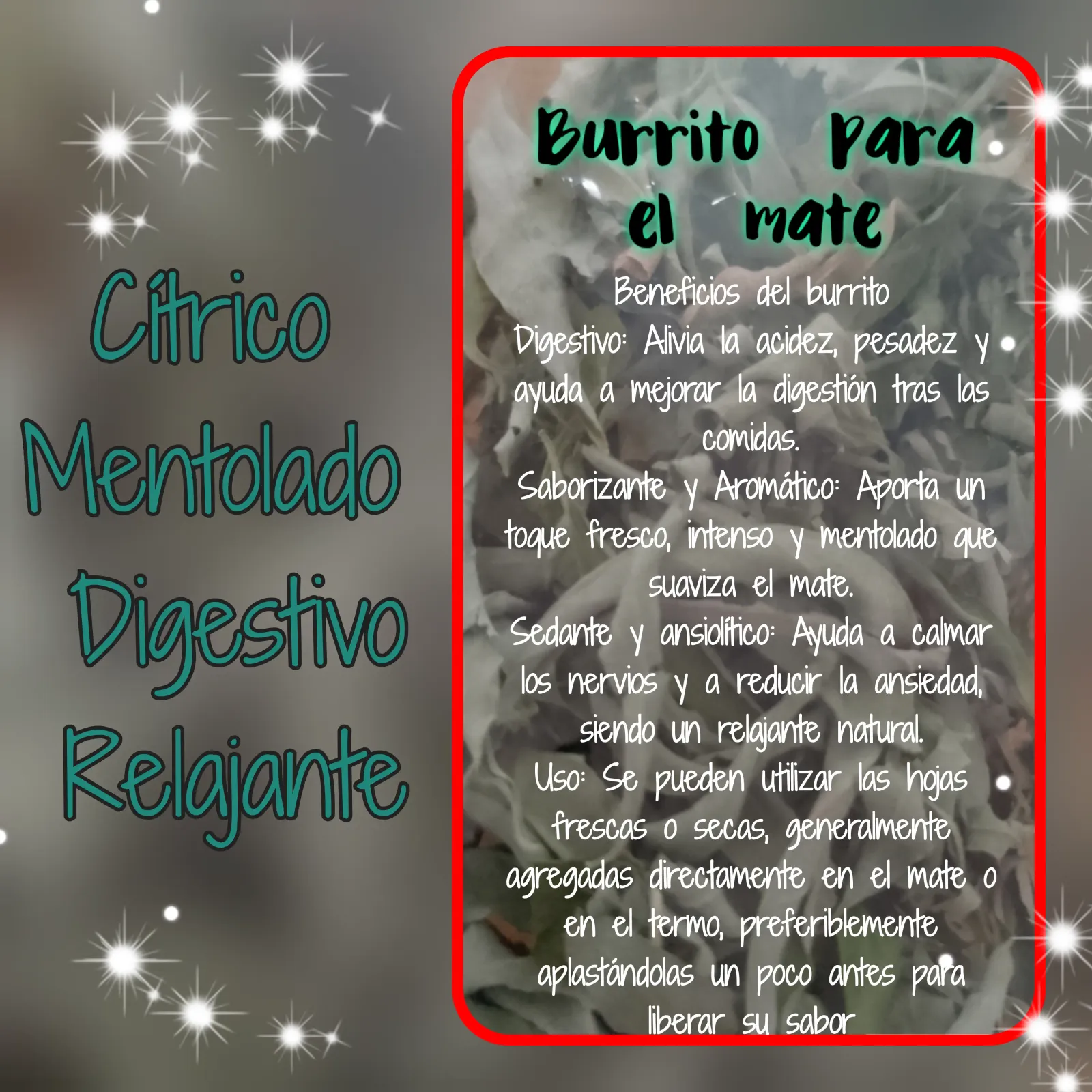 Burrito .. x paquete
