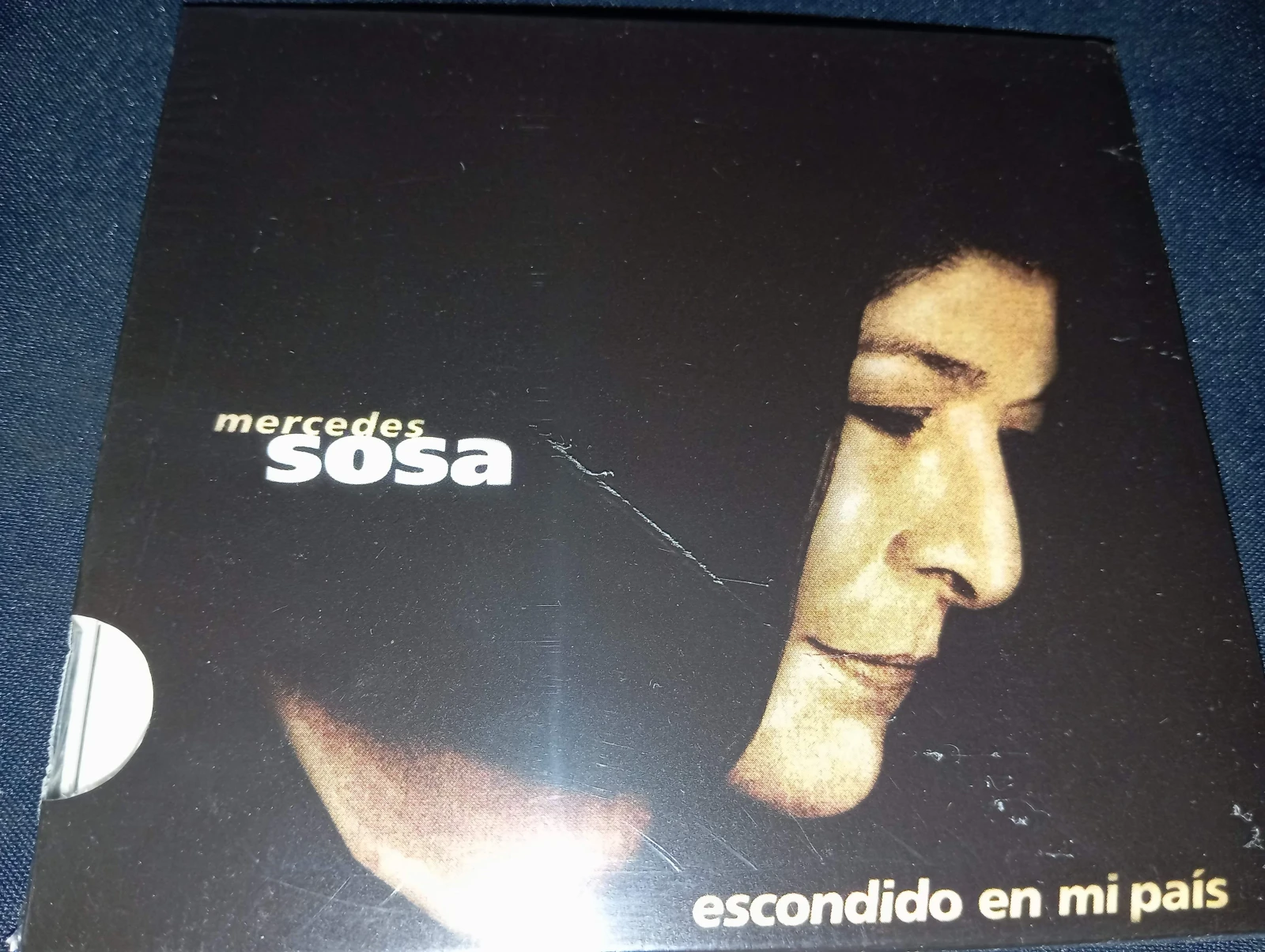 Mercedes Sosa - Escondido En Mi Pais (ARGENTINA)