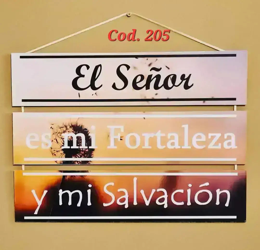 Cuadro chico x 3. Cód. 205