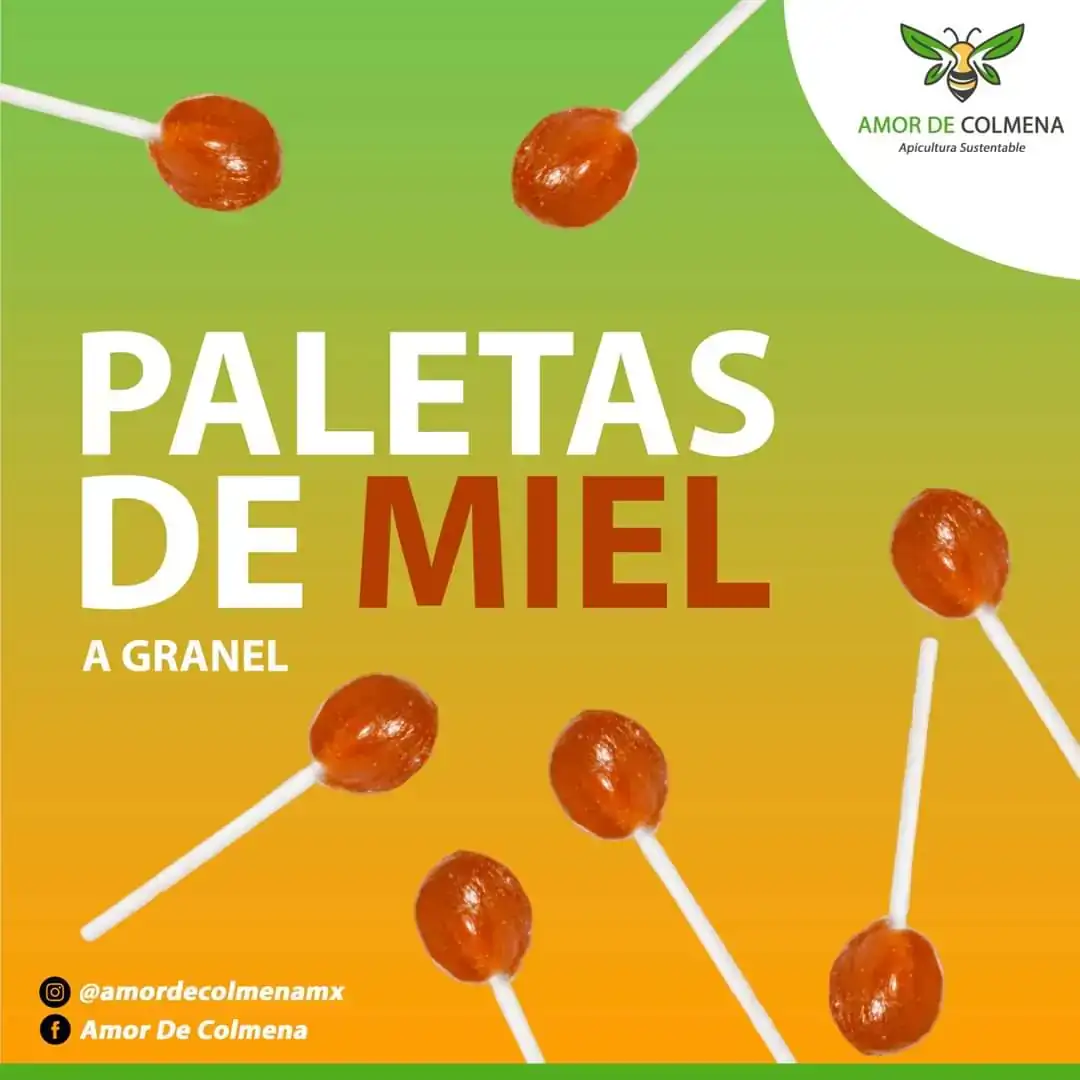 Paletas de Miel 
