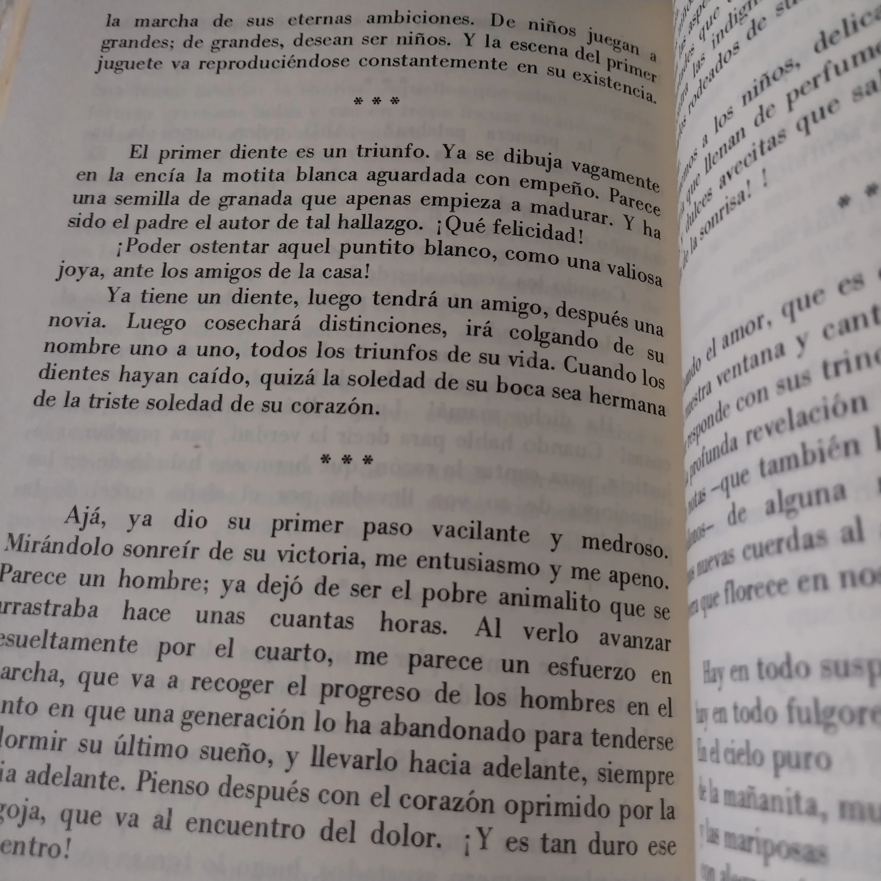 Poesía y prosa escogida, José Mario Zeledon, usado 3